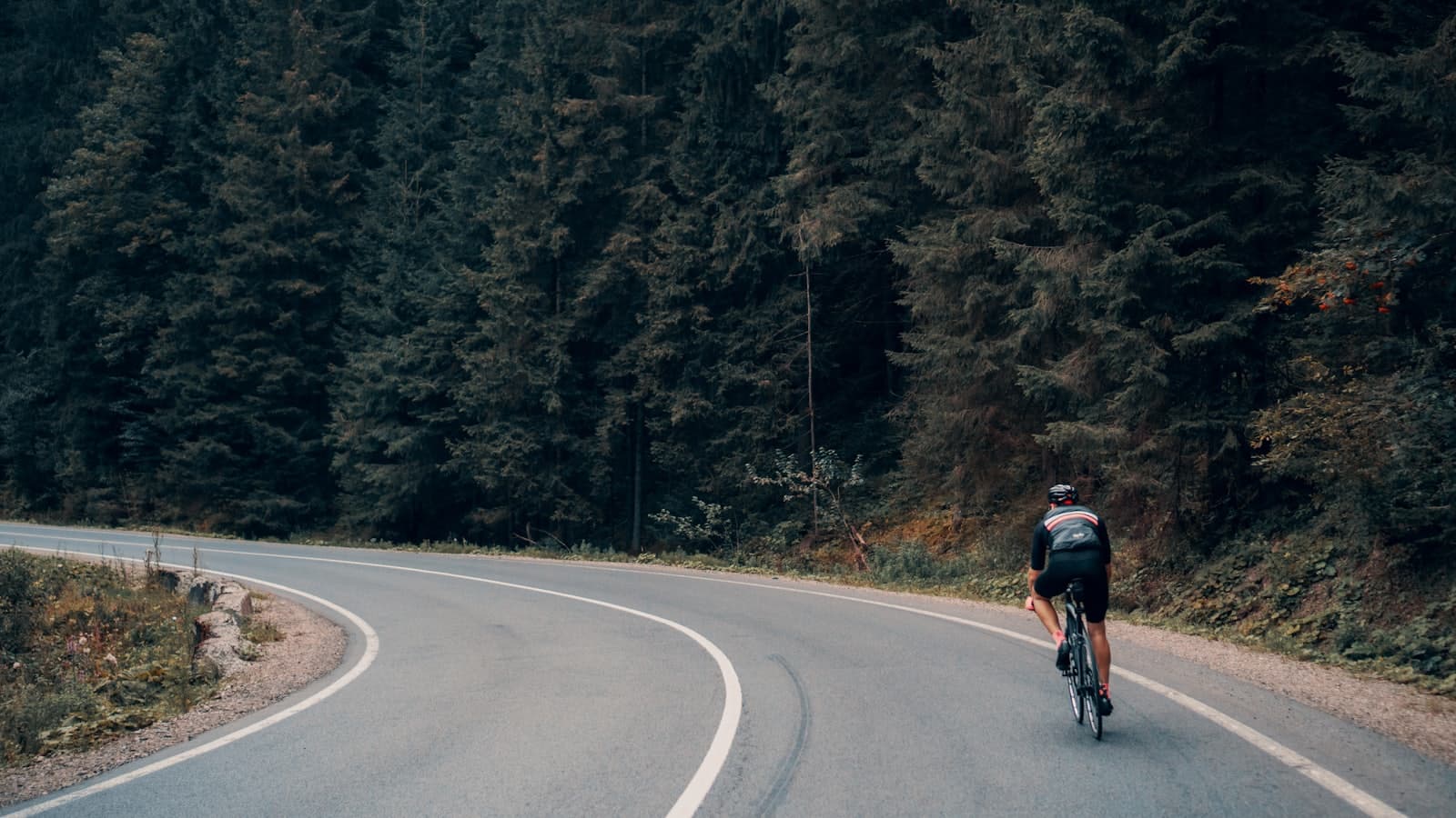 De 10 Mooiste Fietsroutes van Nederland in 2026